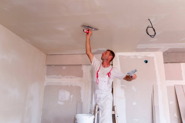 Best Drywall Repair  in Lakeview, NY